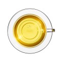 100% Spice of Life - kolor naparu
