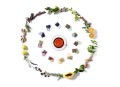 Zestaw 12 saszetek z kolecji 100% Bio & Organic Teas Ronnefeldt