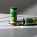 Zielona herbata z mango | Ronnefeldt Morgentau