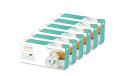 Zestaw 6 opakowań Moroccan Mint z serii Leaf-Cup