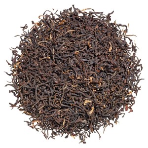 ASSAM NAHORHABI