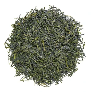 SHINCHA WAKANA  BIO