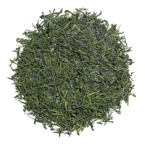 SHINCHA ASANOKA  BIO