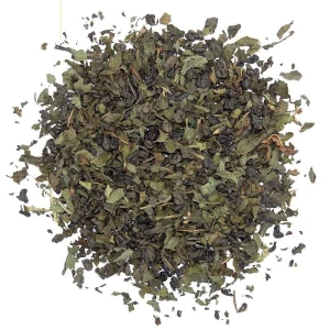 GREEN OASIS BIO