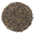 Spring Darjeeling